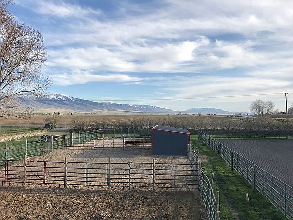 View of horse pens