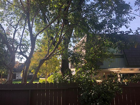 View from patio door to complex.
