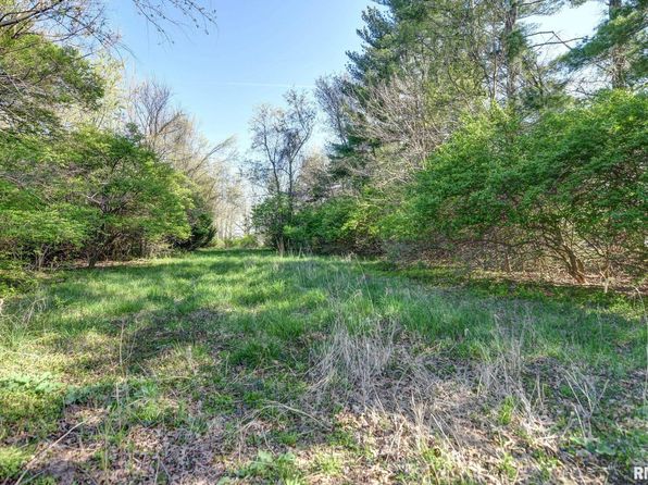 615 N Leland Ln, Taylorville, IL 62568