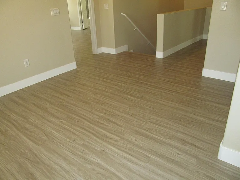 3336 Popcorn Flower St — Photo 19