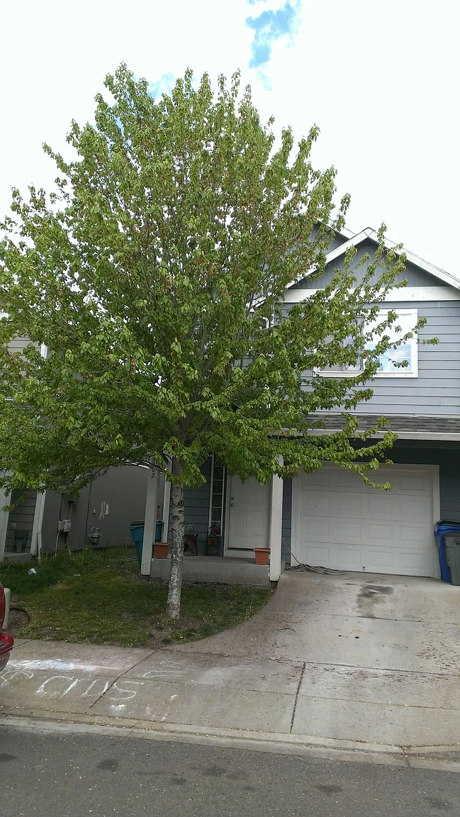 6024 NE 33rd Cir photo 1
