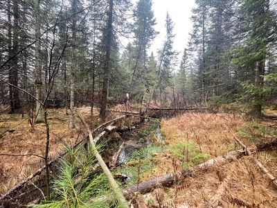 V/l 25a Juniper Way, Grayling, MI, 49738