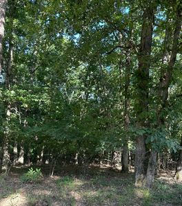 Green St #614, Paragould, AR, 72450