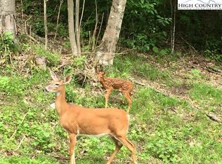 121 Aster Trl, Banner Elk, NC 28604