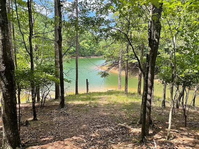 4219 Merlin Pass — Photo 23