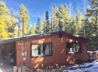 115 Evergreen Ln, Idaho Springs, CO 80452