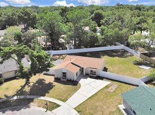 502 Avocado Dr, Seffner, FL 33584