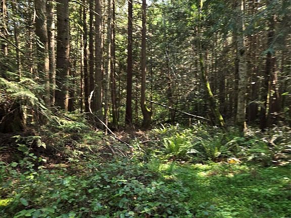 2nd image of 146 Humble Hill Road