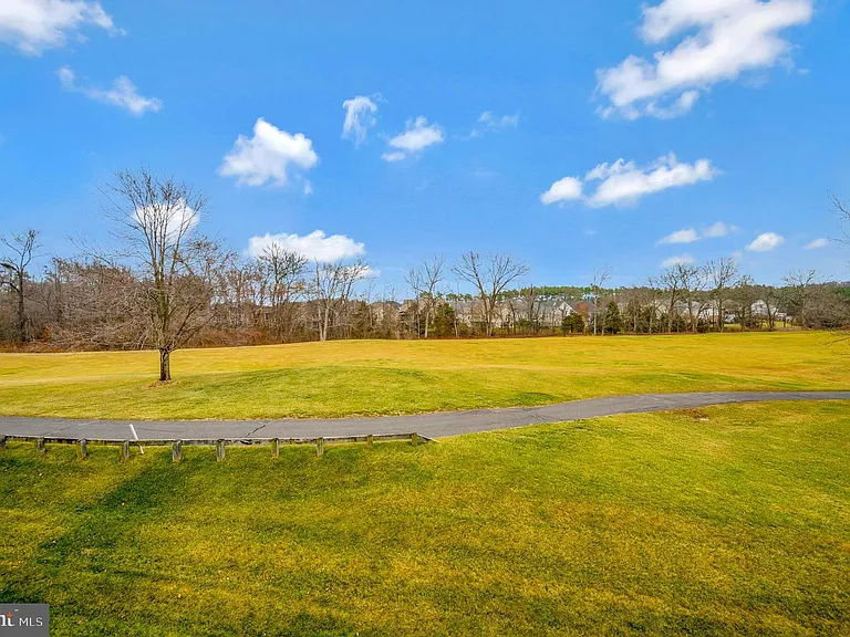 13784 Charismatic Way — Photo 41