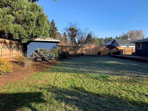 Back yard