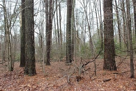 1st image of 2104 Buccaneer Blvd Lot 2104