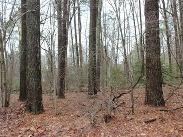 2104 Buccaneer Blvd Lot 2104, Greenbackville, VA 23356