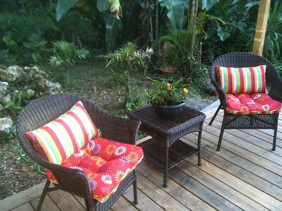 Backyard 2 
