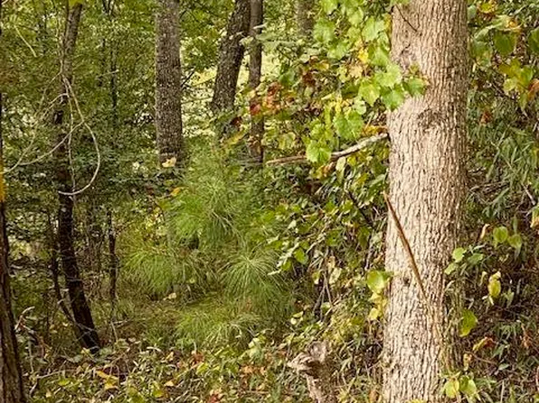 144 Jimmie Love Road, Windsor, NC 27983