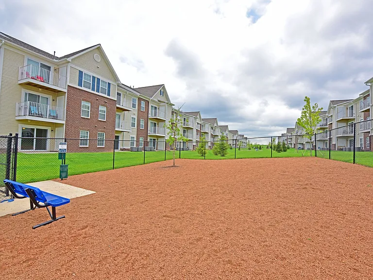 Leash-Free Dog Park