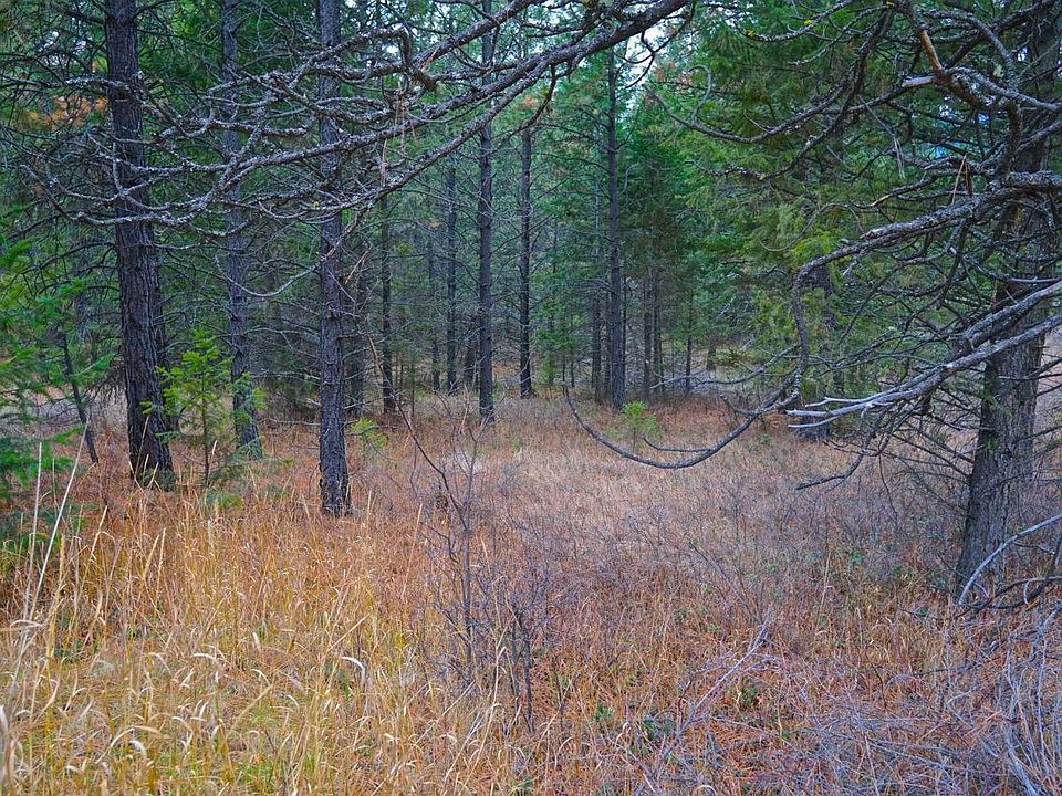 2nd image of Nhn Pinkham Creek Rd