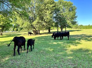 County Road 4117, Frankston, TX