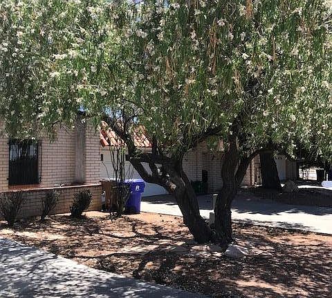 2nd image of 800 Camino Del Rex