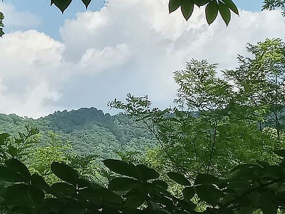 2nd image of 0 Dan Branch Rd