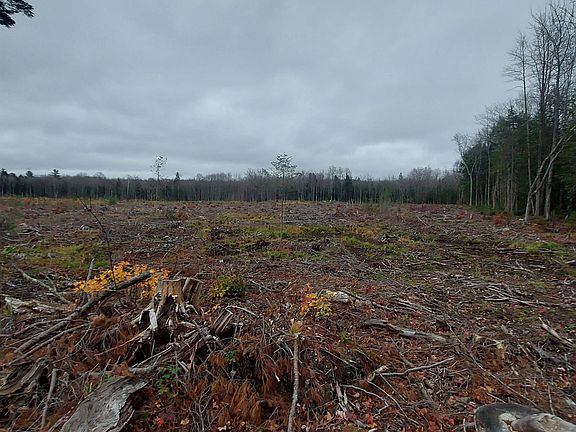 5th image of 40 / Acres Off