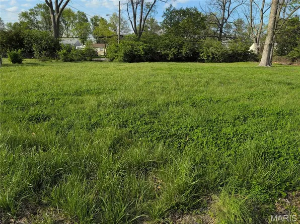 9139 Bobb Ave, Saint Louis, MO 63114