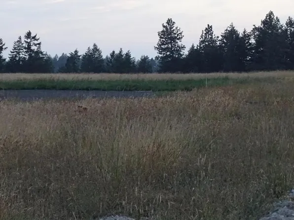Orchard Rd, Chattaroy, WA 99003