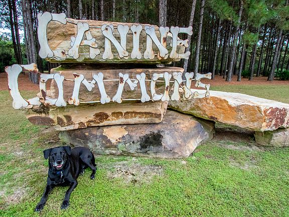 Hammock Bay Amenities