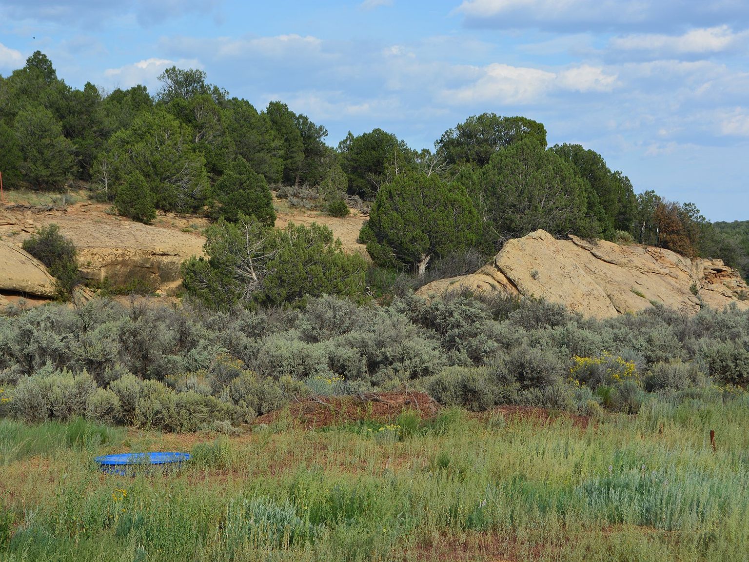 County Road 109, Hesperus, CO 81326 MLS 0509979814 Zillow