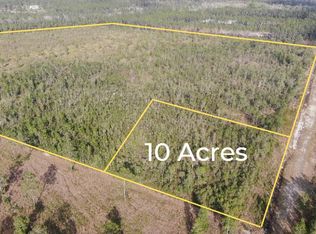 NULLA Chesser Hammock Rd, Pierson, FL 32180