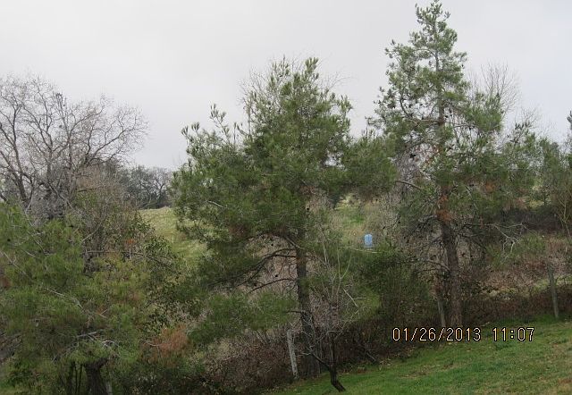 2nd image of 2378 Bean Rd