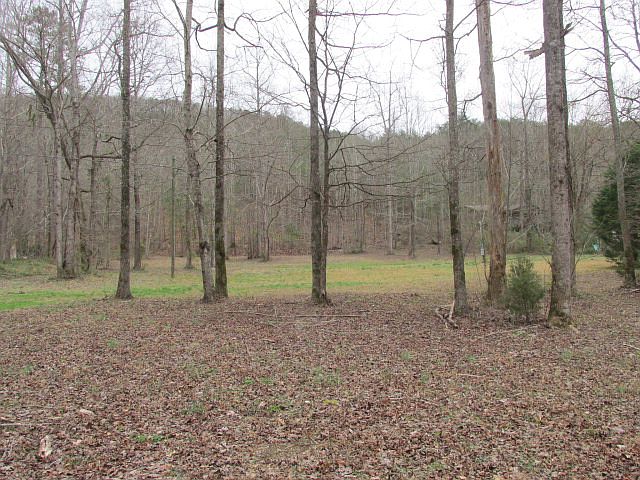 2nd image of 308 Hassler Mill Rd