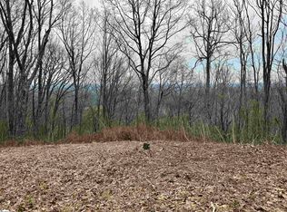 206 Eagle Rock Rd, Landrum, SC 29356