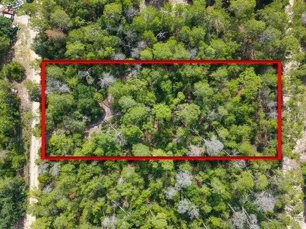 Berry St #6, Paisley, FL 32767