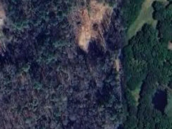 0 Cornelia Rd #0, Brierfield, AL 35035