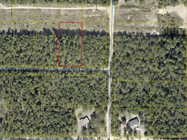 13 Crescent Dr, Defuniak Springs, FL 32435