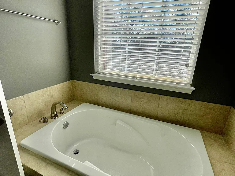 Master Bathroom Tub