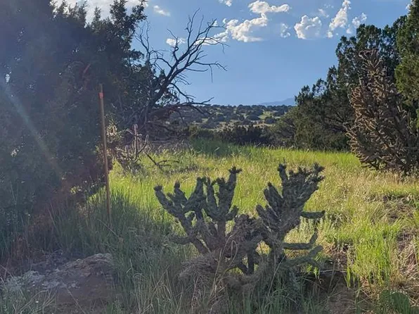 LOT 662 La Deora Blvd, Walsenburg, CO 81089