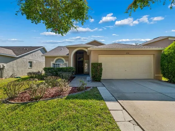 1250 Salt Clay Ct, Zephyrhills, FL 33544