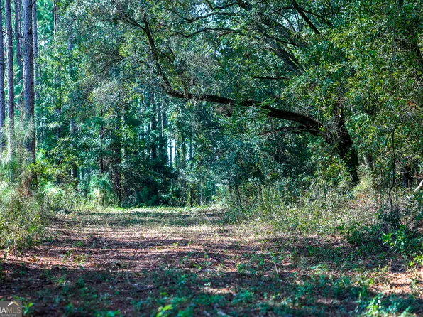 0 Pullen Rd, Damascus, GA 39841