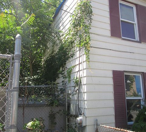 3rd image of 117 W Parmenter St