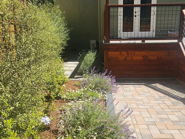Backyard east side yard view