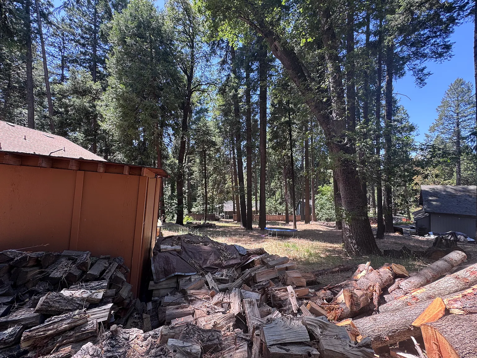 3 bed, 1406 sqft, $2,500 — Photo 4