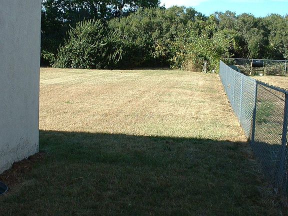 Spacious Back Yard