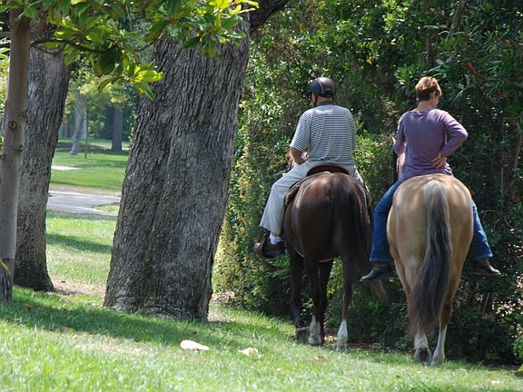 Horse Stables and Trails