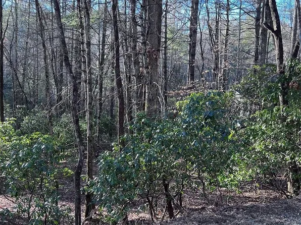 L72 Salola Ln, Brevard, NC 28712