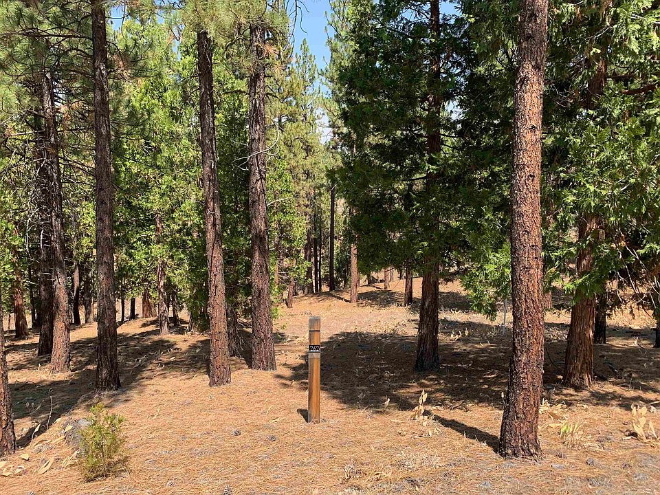 1st image of 296 Starflower Dr