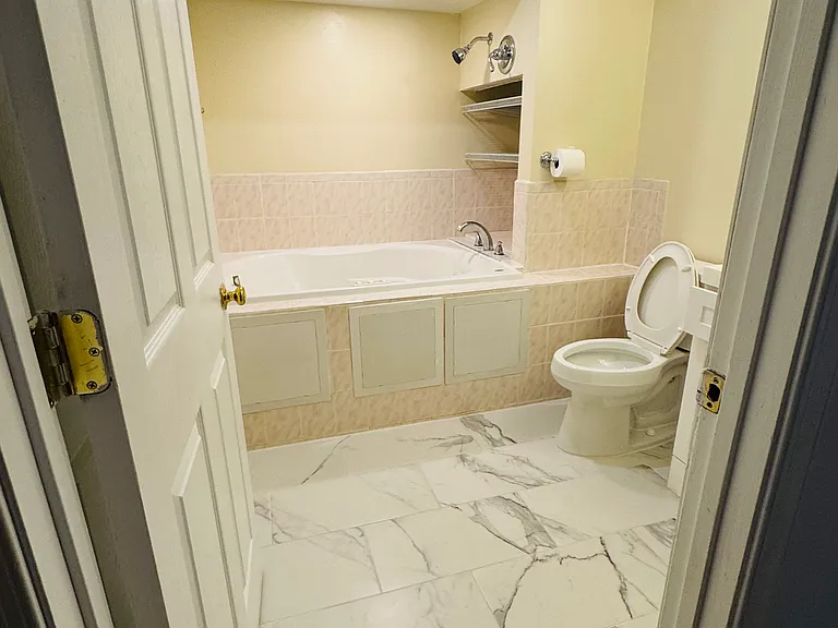 25825 Spring Farm Cir #BASEMENT — Photo 8