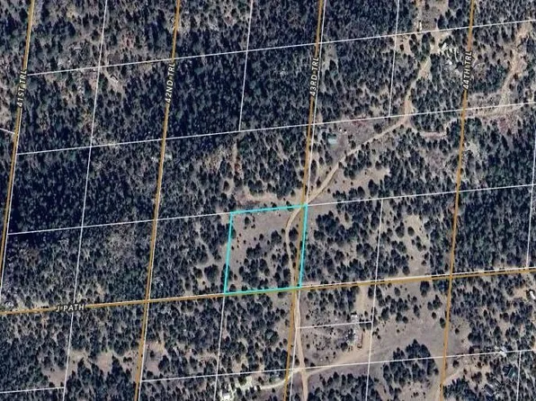 Tbd 43rd Trl, Cotopaxi, CO 81223