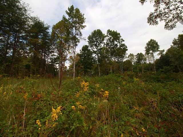 1st image of 0 Homestead Rd