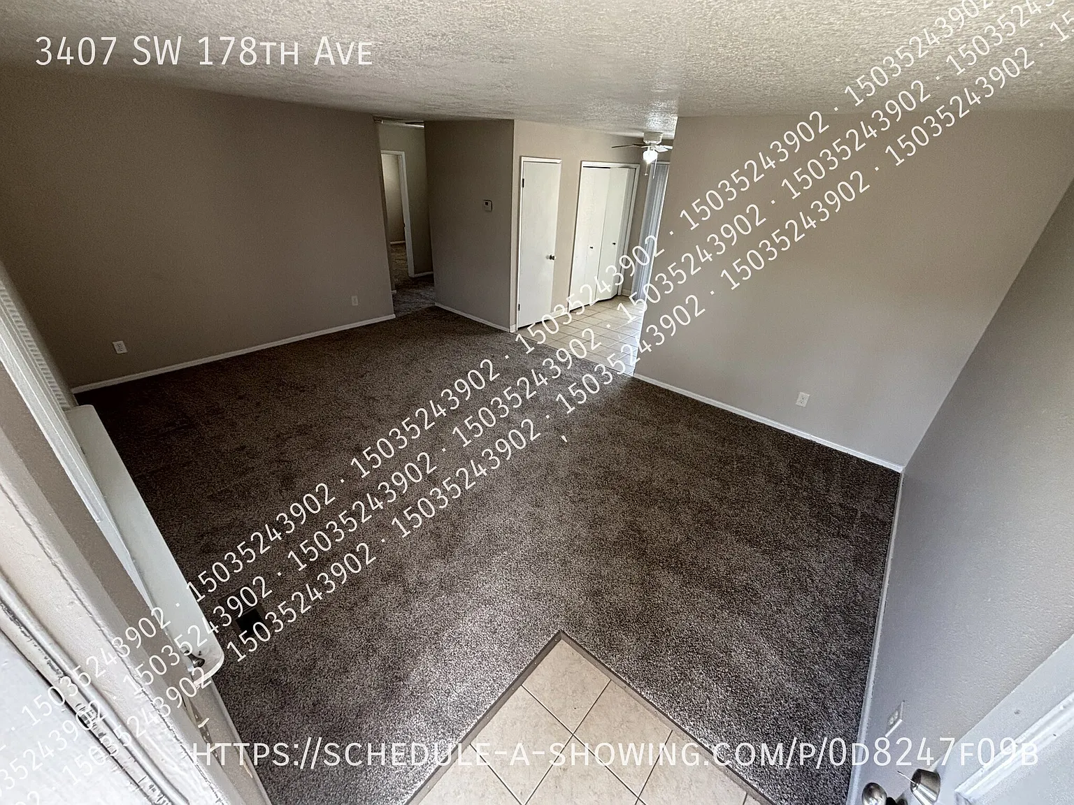 Aloha Four Plex — Photo 2
